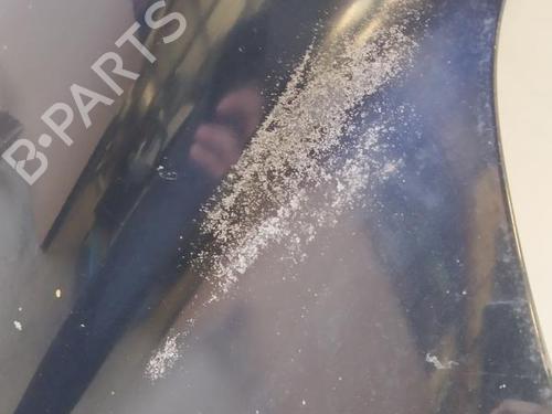 Hood HYUNDAI SANTA FÉ I (SM) 2.0 CRDi | BP27116169C1 