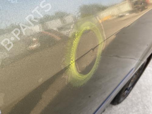 Left rear door RENAULT MODUS / GRAND MODUS (F/JP0_) 1.5 dCi (FP0D, JP0D) | BP29502031C4 