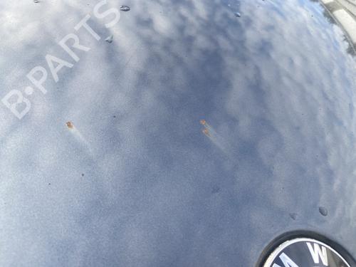 Hood BMW 5 (E39) 525 d | BP30156977C1