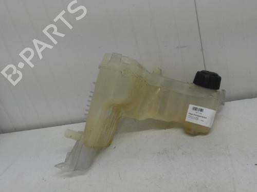 Used Expansion tank RENAULT LAGUNA III (BT0/1) 1.5 dCi (BT00, BT0A, BT0T, BT1J) (110 hp) 27118035