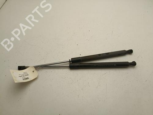 tailgate-lift-support-renault-clio-iii-br01-cr01-2005-2006-2007-2008-2009-2010-2011-2012-2013-2014-33828216 main image
