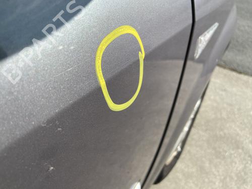 Right front door RENAULT SCÉNIC II (JM0/1_) 1.9 dCi (JM0G, JM12, JM1G, JM2C) | BP29457226C3 