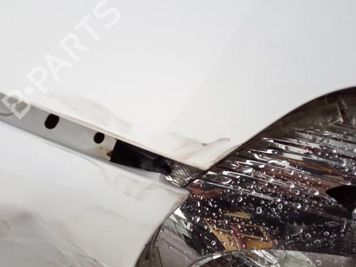 Used Hood Hood FIAT GRANDE PUNTO (199_) 1.9 D Multijet (130 hp) 27143072 27143072