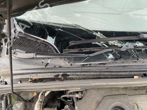 BP30128224C143 main image