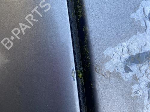 Right front door RENAULT CLIO III (BR0/1, CR0/1) 1.5 dCi (BR17, CR17) | BP30061017C3