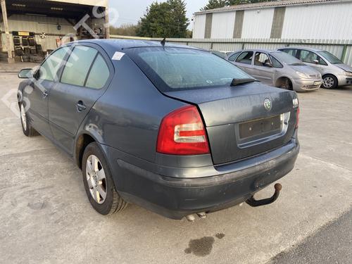 Used Lamp holder SKODA OCTAVIA II (1Z3) 1.9 TDI (105 hp) 32746053