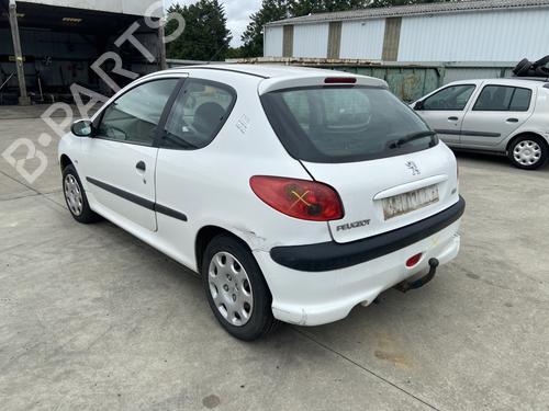Left front door PEUGEOT 206 Hatchback (2A/C) 1.4 i | BP28303521C2 