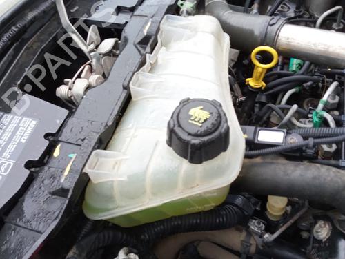 Used Expansion tank RENAULT KANGOO / GRAND KANGOO II (KW0/1_) 1.5 dCi 90 (KW05, KW08, KW0G, KW11) (90 hp) 27142394