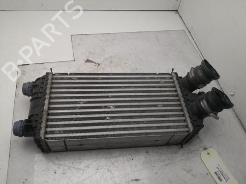 Used Intercooler PEUGEOT 208 II (UB_, UP_, UW_, UJ_) 1.5 BlueHDI 100 (102 hp) 27106482