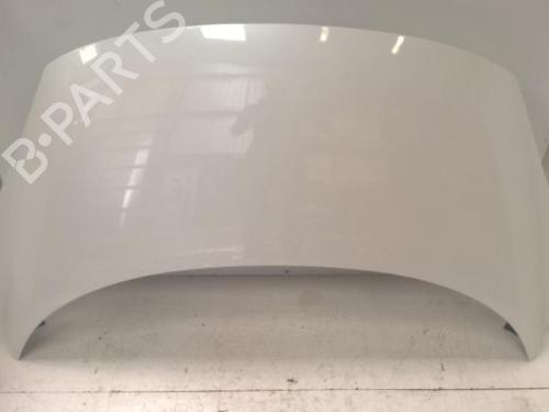 Used Hood RENAULT SCÉNIC III (JZ0/1_) 1.9 dCi (JZ0J, JZ1J, JZ1K, JZ1S) (131 hp) 27116869