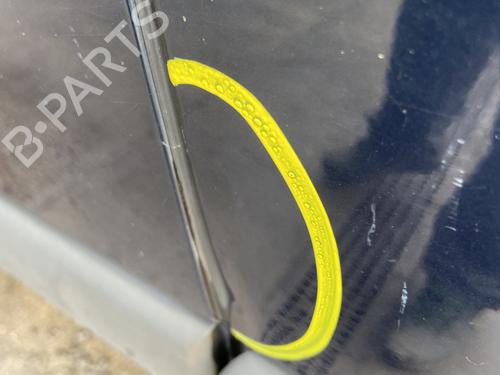 Right front door RENAULT SAFRANE II (B54_) 2.2 dT (B54G) | BP29480567C3 