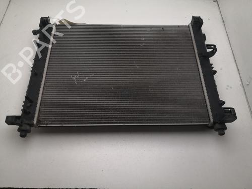 Used Water radiator Water radiator DACIA DUSTER (HM_) 1.0 LPG (HMMT) (101 hp) 27106611 27106611
