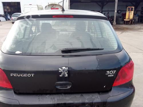 Used Tailgate PEUGEOT 307 (3A/C) 2.0 HDi 110 (107 hp) 27144605