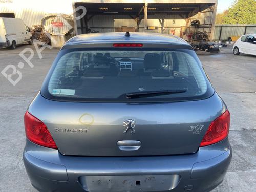 Used Lamp holder PEUGEOT 307 (3A/C) 1.6 HDi (90 hp) 30410403