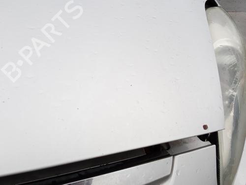 Hood FIAT PUNTO EVO (199_) 1.3 D Multijet (199AXC1A, 199BXC1A, 199AXT1A, 199BXT1A) | BP27102949C1