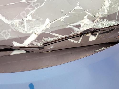 Used Front windshield wiper arm NISSAN MICRA IV (K13K, K13KK) 1.2 (80 hp) 27100933