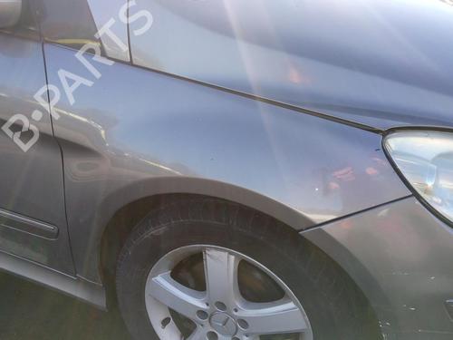 Used Right front fenders MERCEDES-BENZ B-CLASS Sports Tourer (W245) B 200 CDI (245.208) (140 hp) 27129442