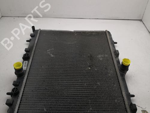 Used Water radiator Water radiator PEUGEOT 207 (WA_, WC_) 1.6 HDi (90 hp) 27128115 27128115