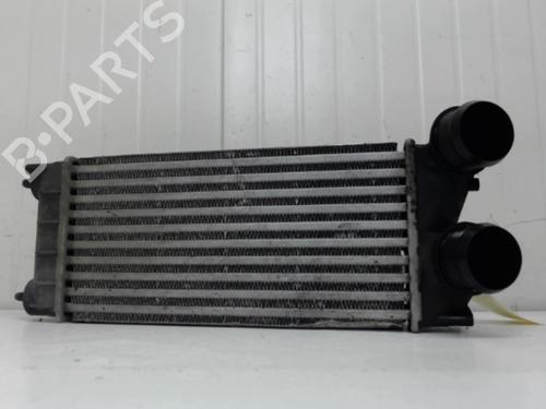 Used Intercooler CITROËN C4 II (NC_) 1.6 HDi 115 (114 hp) 27118786