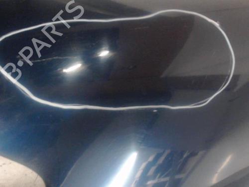 Left front fenders CITROËN C3 I (FC_, FN_) 1.4 i | BP27128652C41 