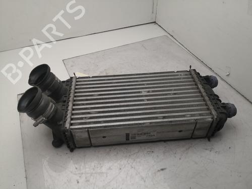 Intercooler PEUGEOT 208 II (UB_, UP_, UW_, UJ_) 1.5 BlueHDI 100 | BP27106482M30