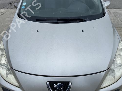 hood-peugeot-307-break-3e-2002-2003-2004-2005-2006-2007-2008-2009-32387034 main image