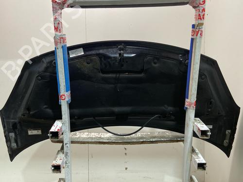 Used Hood Hood DS DS 3 (SA_) 1.6 BlueHDi 100 (SABHY0, SABHYT) (99 hp) 40201006 40201006