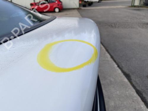 Tailgate RENAULT LAGUNA I (B56_, 556_) 1.6 16V (B568, B561) | BP29992899C6