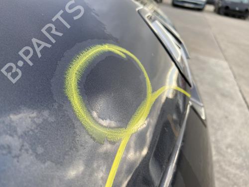 Hood RENAULT MEGANE III Hatchback (BZ0/1_, B3_) 1.5 dCi (BZ09, BZ0D, BZ1W, BZ29, BZ14) | BP29898969C1