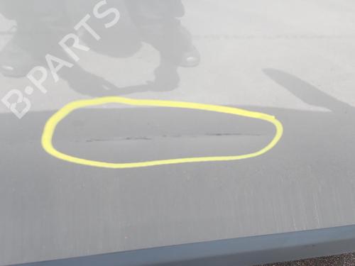 Used Right front door Right front door LANCIA DELTA III (844_) 1.6 D Multijet (844.AXC11, 844.AXC1A) (120 hp) 27137451 27137451