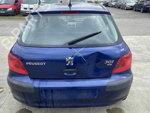 Used Tailgate lock Tailgate lock PEUGEOT 307 (3A/C) 2.0 HDi 90 (90 hp) 33680403 33680403