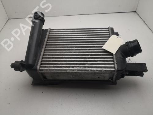 Intercooler DACIA DUSTER (HM_) 1.0 LPG (HMMT) | BP27106604M30 - Image 4