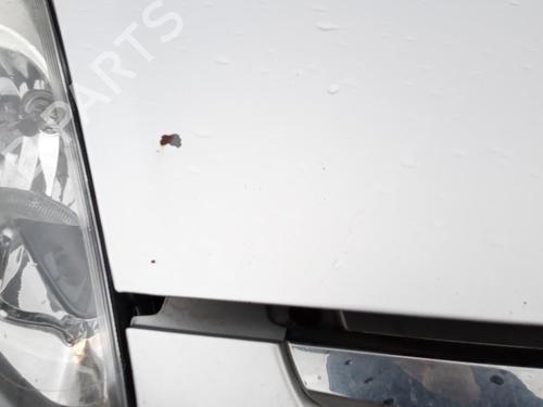 Hood FIAT PUNTO EVO (199_) 1.3 D Multijet (199AXC1A, 199BXC1A, 199AXT1A, 199BXT1A) | BP27102949C1