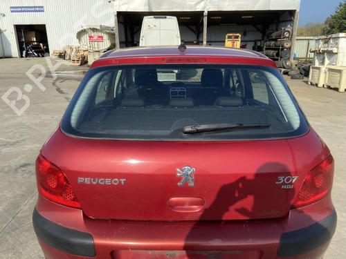 Used Tailgate PEUGEOT 307 (3A/C) 1.6 HDi (90 hp) 27105649