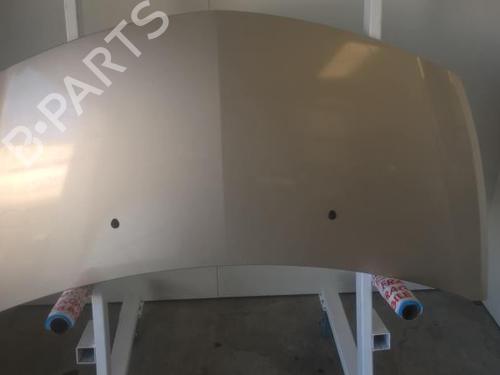 Motorhaube für RENAULT CLIO III (BR0/1, CR0/1) 1.5 dCi (BR17, CR17) (86 hp) 27117953