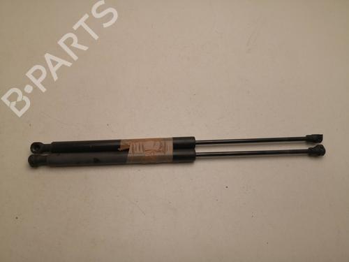 Tailgate lift support DACIA SANDERO II 1.5 dCi | BP27143900C138 