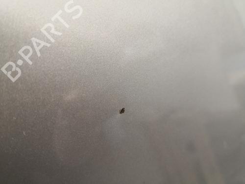 Left rear door DACIA SANDERO II 1.5 dCi | BP27143894C4 