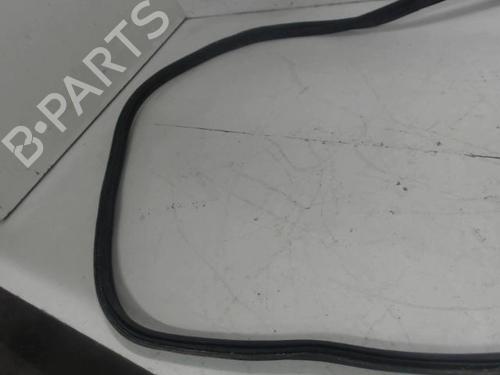 Gummilist RENAULT ZOE (BFM_) ZOE (88 hp) 32121726