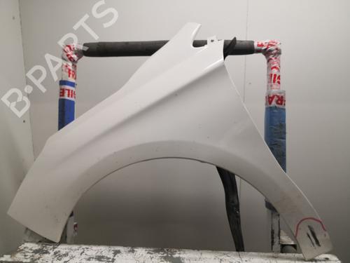 left-front-fenders-citroen-c4-ii-nc_-2009-27140493 main image
