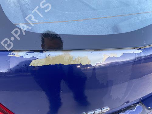 Tailgate DACIA SANDERO 1.4 (BS0C, BS0A, BS0G, BS1F, BS0E) | BP29423825C6 