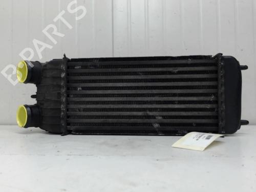 Used Intercooler Intercooler PEUGEOT 207 CC (WD_) 1.6 HDi (109 hp) 27118754 27118754