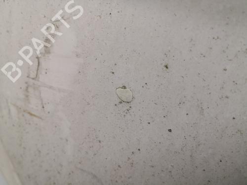 Hood PEUGEOT 207 SW (WK_) 1.6 HDi | BP27124709C1 