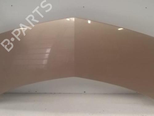 Used Hood Hood RENAULT MODUS / GRAND MODUS (F/JP0_) 1.6 (JP03, JP0B, JP0U, JP0Y, JP1G) (112 hp) 27116460 27116460