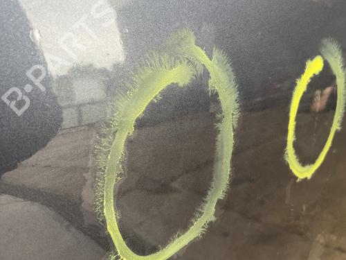 Left front door FORD C-MAX (DM2) 1.6 TDCi | BP29999968C2