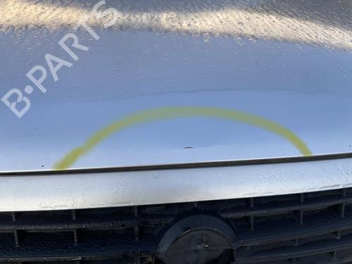 Hood FIAT DOBLO Box Body/MPV (223_) 1.3 D Multijet | BP29529518C1 