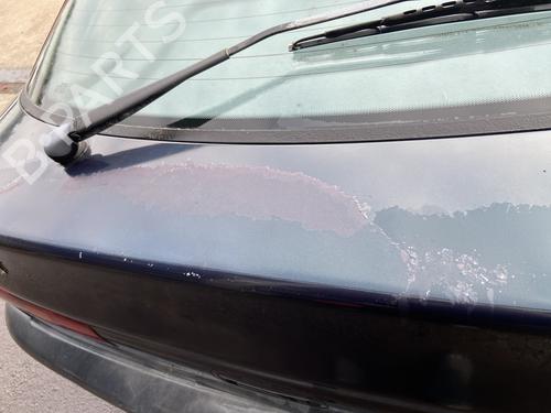 Tailgate RENAULT SAFRANE II (B54_) 2.2 dT (B54G) | BP29480557C6 