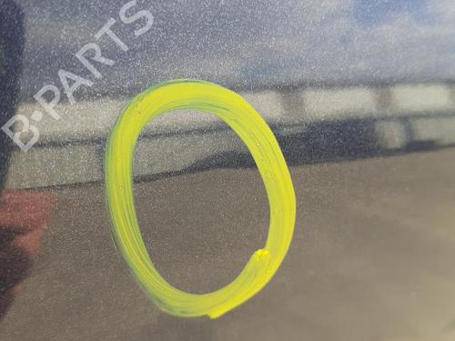 Right front door FIAT CROMA (194_) 1.9 D Multijet (194AXB1B) | BP27119392C3 