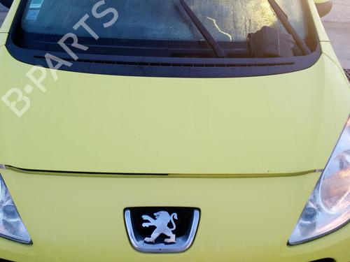 Used Hood PEUGEOT 1007 (KM_) 1.4 (75 hp) 27127806