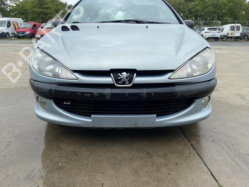 Used Grille PEUGEOT 206 Hatchback (2A/C) 1.6 i (89 hp) 28473922