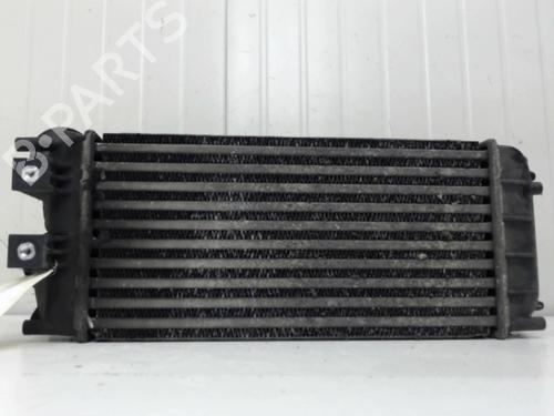 Used Intercooler Intercooler CITROËN C4 II (NC_) 1.6 HDi 115 (114 hp) 27118786 27118786